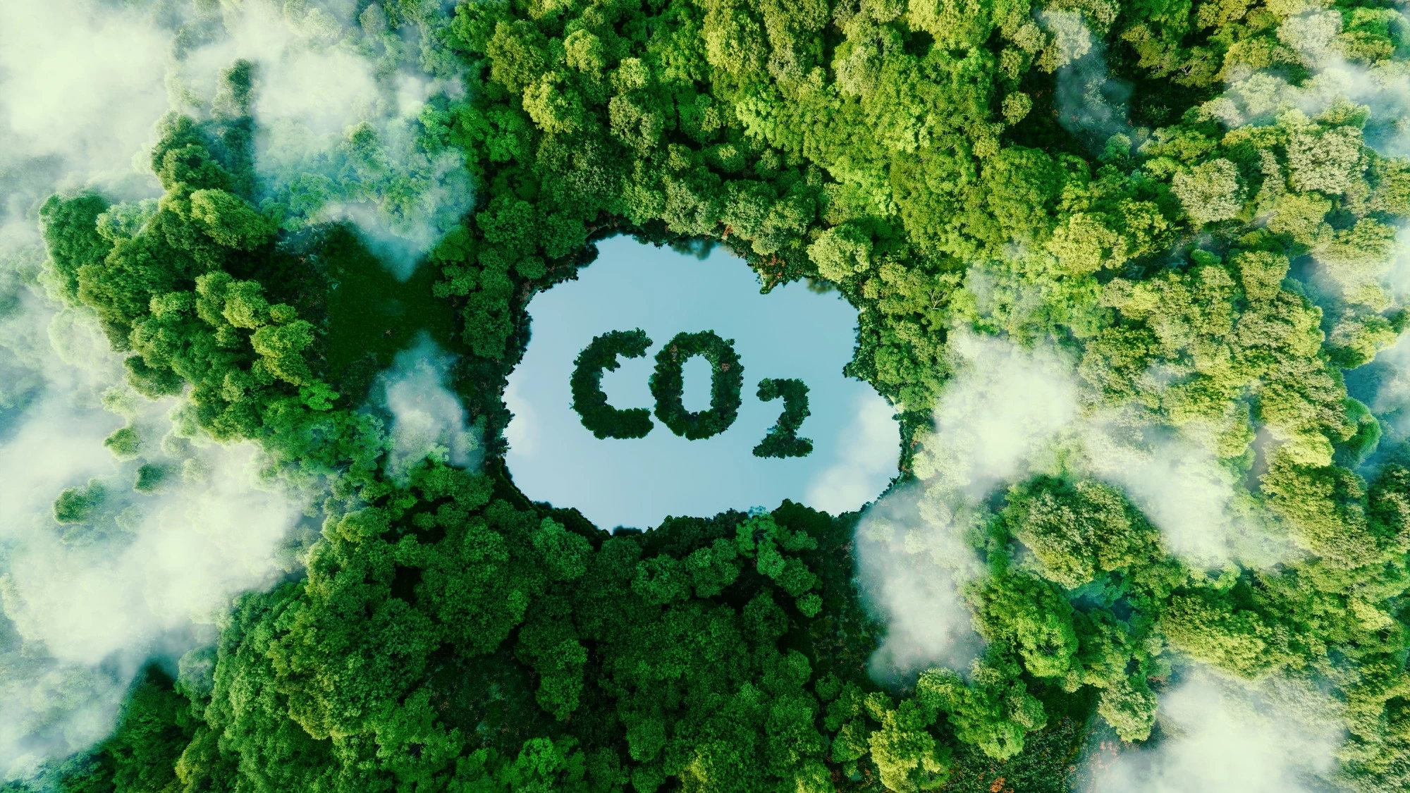 La transformación textil con camisetas que absorben CO2